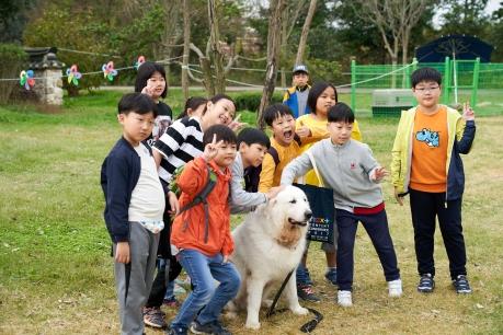 행복한동물농장